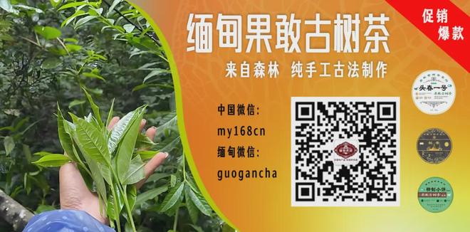 一条评论炸翻联盟!马刺老板之子暗示离队,福克斯休赛期要走?
