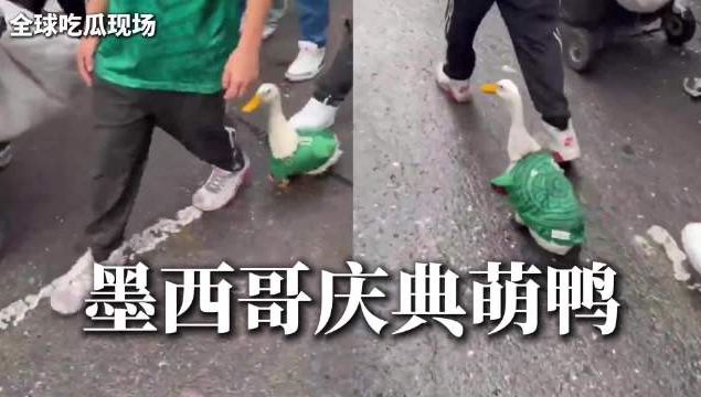 2.7亿欧元难填一人空缺:揭秘罗德里对曼城的无价意义